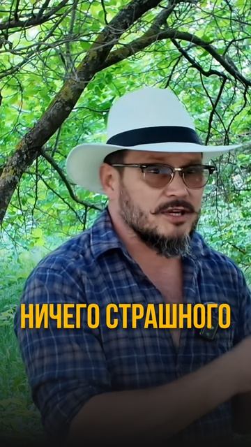 Как не дать саду зарасти?
