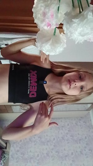 влог