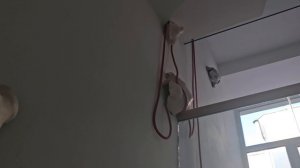 Anna Nova Gallery. Галерея современного искусства