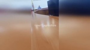 Фермеров обязали-за 2-3 дня избавиться от всего поголовья!!
