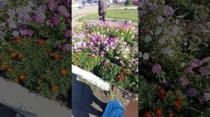 Трамвайная площадь в Кемерово