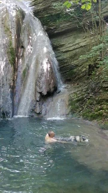 флора и фауна