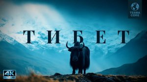 ТИБЕТ: Жизнь на крыше мира |  Документальный фильм | 4K | Дикая природа