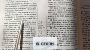 Читаем Библию. Проклятие, как  от него избавиться ?