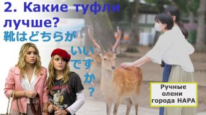 Японский язык на слух 002: Какие туфли лучше?