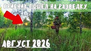 Грибник пошёл на разведку ГРИБОВ август 2026.