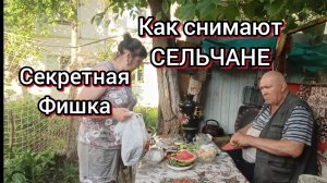 Сельчане их деньгам теперь завидуют соседи