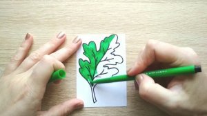 ЛИСТ ДУБА / раскраска ДУБОВЫЙ ЛИСТ / НарисуйКа