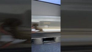 Митсубиси Монтеро спорт