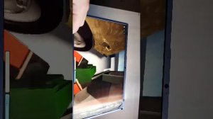 играю в длинную дорогу
