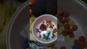утро Дымка!