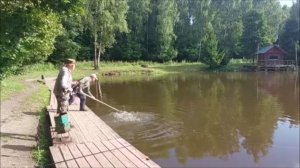 Утренний обзор с нижнего водоёма. Клёвое место, Лосиный остров.