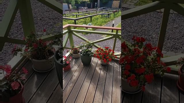 Petal_20260814_170455