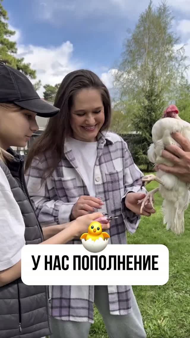 У НАС ПОПОЛНЕНИЕ🐣 #куры#дача#мотивациядня#vlog#ekaterinamalceva#влог#