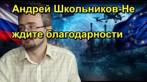Андрей Школьников Не ждите благодарности