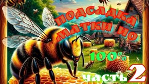 🔥 ПОДСАДКА МАТКИ ИО ЧАСТЬ 2 ❗❗❗ ПОЗДНИЙ ОТВОДОК
