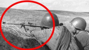 ПТРД или ПТРС? Какое ружье на самом деле спасло пехоту в 1941 году?