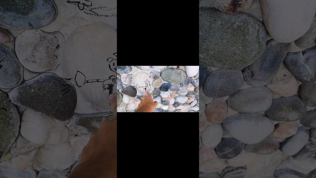 я устала. а это влог на пляже, или о сачках и крабов