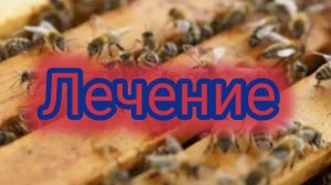 Лечение 🐝