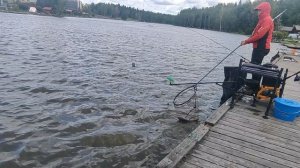 Поимка карпа. Дуплет.