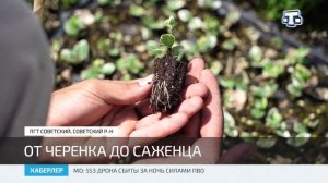 17-летний Нариман Джемилев из Советского района создал свой питомник растений