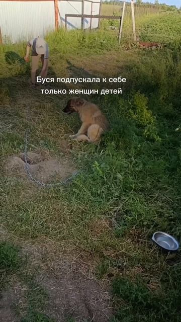 пережила боль потери и предательства людей
... совсем как у людей, правда? 

#подростки #отношения #