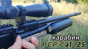 Bowmaster 6,35мм, из «Коробки»  -  полевые испытания!!!