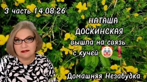 3 часть. НАТАША ДОСКИНСКАЯ вышла на связь с кучей❗️