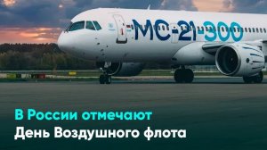 В России отмечают День Воздушного флота