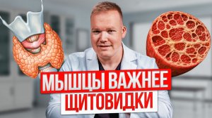 Главный орган ДОЛГОЛЕТИЯ не сердце.Как ускорить МЕТАБОЛИЗМ после 30