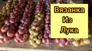 Вот какую красоту я сделала из лука.Вязанка.Лучший способ хранения.Семейный лук.Тверская область