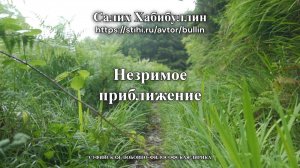 Незримое приближение