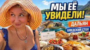 Мы её yвидели Каретта-каретта, лyчший пляж Дaльяна и швeдский стол