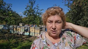 Не могу выйти в сад, меня кусают пчелы