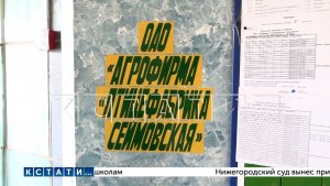 Сеймовская птицефабрика отрицает свою причастность к аномальному количеству мух в Володарске