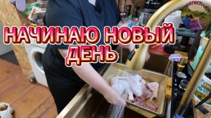 ДЕЛА ДОМАШНИЕ
