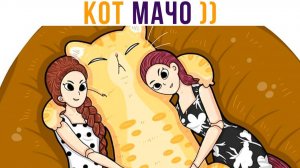 КРУТОЙ КОТ))) Приколы с котами