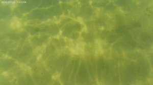 19.07.2026_2.13_№16