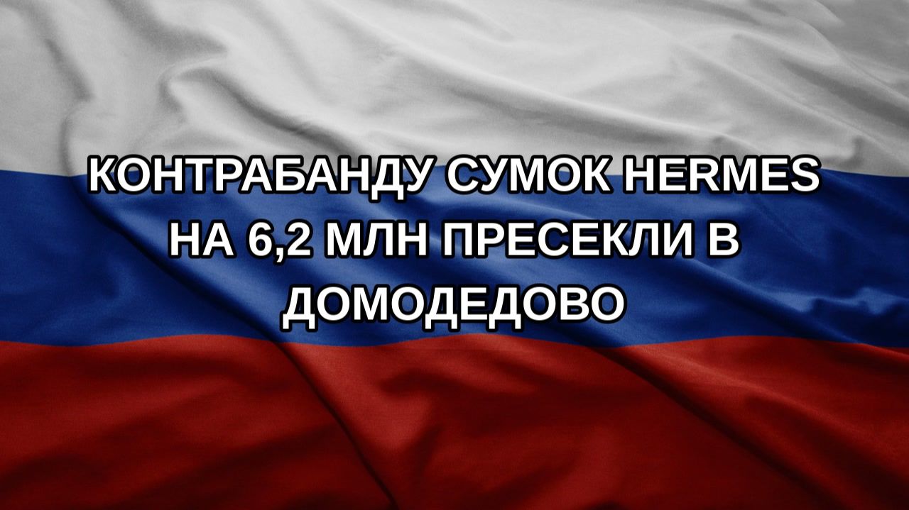 Контрабанду сумок Hermes на 6,2 млн пресекли в Домодедово