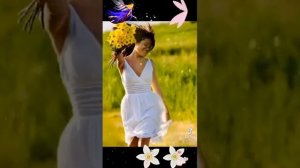 1000032097.mp4