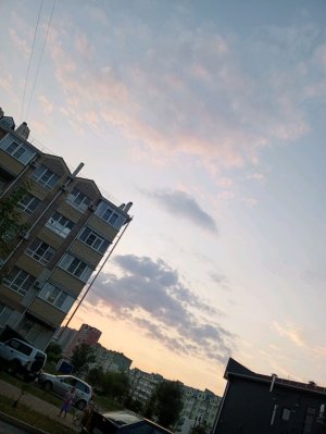 провожу время дома с пельмешкой