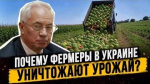 Почему фермеру выгоднее уничтожить урожай, чем продать его? Украинская реальность \  Николай Азаров
