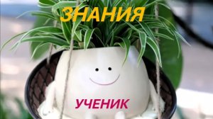 7 класс Приводим в порядок знания и навыки их применения в решению поставленных задач.