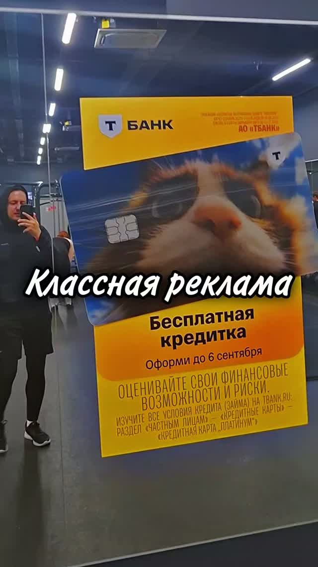 А помните ещё те самые гифки, где котики и собачки 