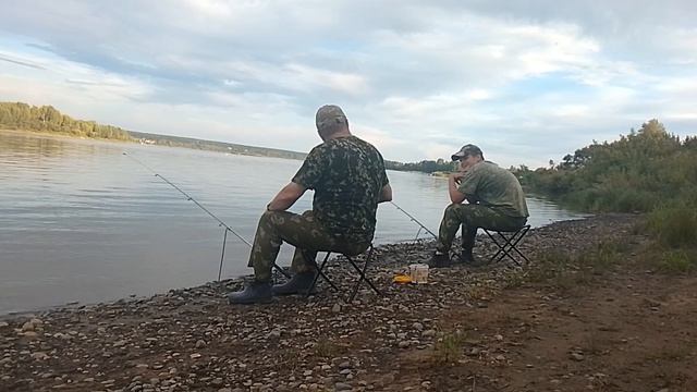 Приехали на Томь, на новое место. На донку!