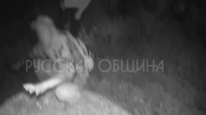 Дружинники Русской Общины Челябинска и полиции задержали преступника в федеральном розыске!