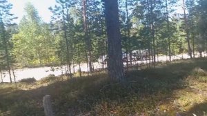 ОБЗОР ПОХОДНОЙ ПОСУДЫ. МОЯ ВЕЛОПРОГУЛКА) 🌿🌿🌿🚲