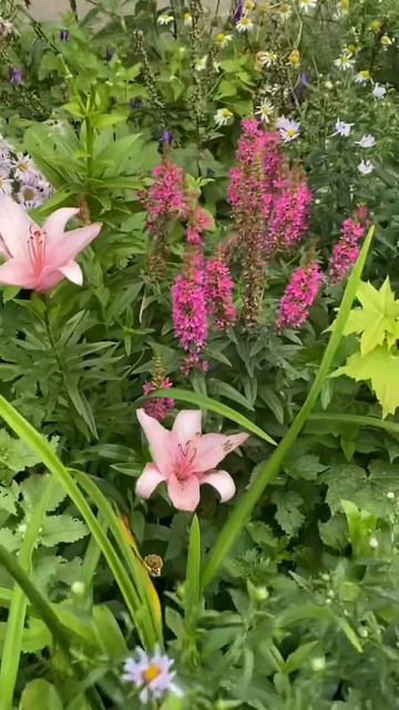 26 июля 2026 г.Лето продолжается!!!🌺🏠🌷#цветочныекомпозиции