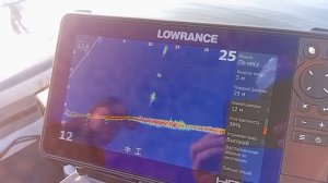 lowrance active target 2 test