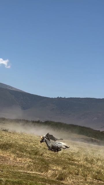 🥥Этого нет на Мальдивах